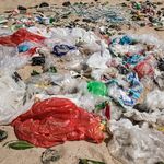 Plastikmüll an einem Strand von Bali/Indonesien Plastikmüll, der bei einer UNEP-Kampagne an einem Strand von Bali gesammelt wurde.