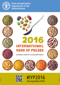 Ein Poster mit 13 verschiedenen Hülsenfrüchten, Logo und dem Hashtag #IYP2016
