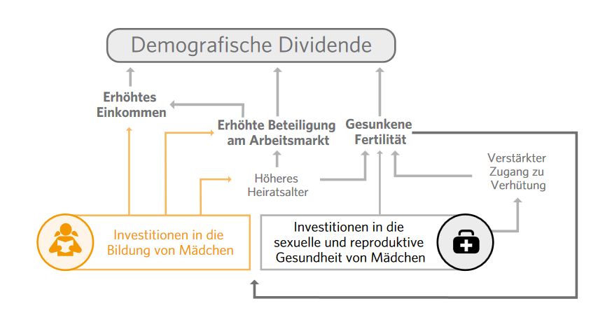 Grafik "Demografische Dividende", Quelle: UNFPA-Weltbevölkerungsbericht 2016 Grafik "Demografische Dividende", Quelle: UNFPA-Weltbevölkerungsbericht 2016