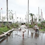 Der Taifun Haiyan zerstörte 90 Prozent der Kokosnusspalmen in Leyte, Philippinen, 2014. (Quelle: Oxfam/Jan Kowalzig) Der Taifun Haiyan zerstörte 90 Prozent der Kokosnusspalmen in Leyte, Philippinen, 2014. (Quelle: Oxfam/Jan Kowalzig)