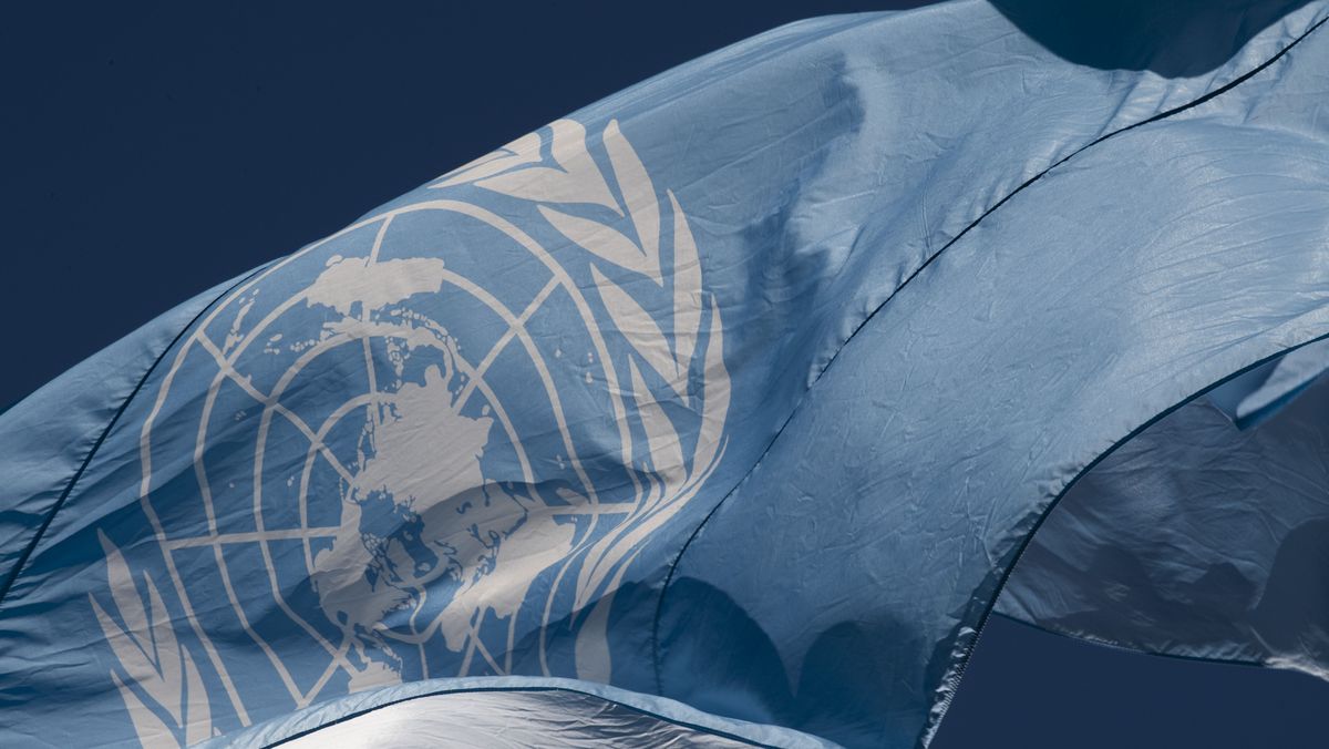 Flagge der Vereinten Nationen